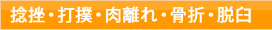 捻挫・打撲・肉離れ・骨折・脱臼