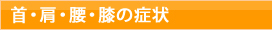 首・肩・腰・膝の症状